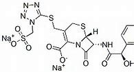 Cefonicid Sodium 61270-78-8